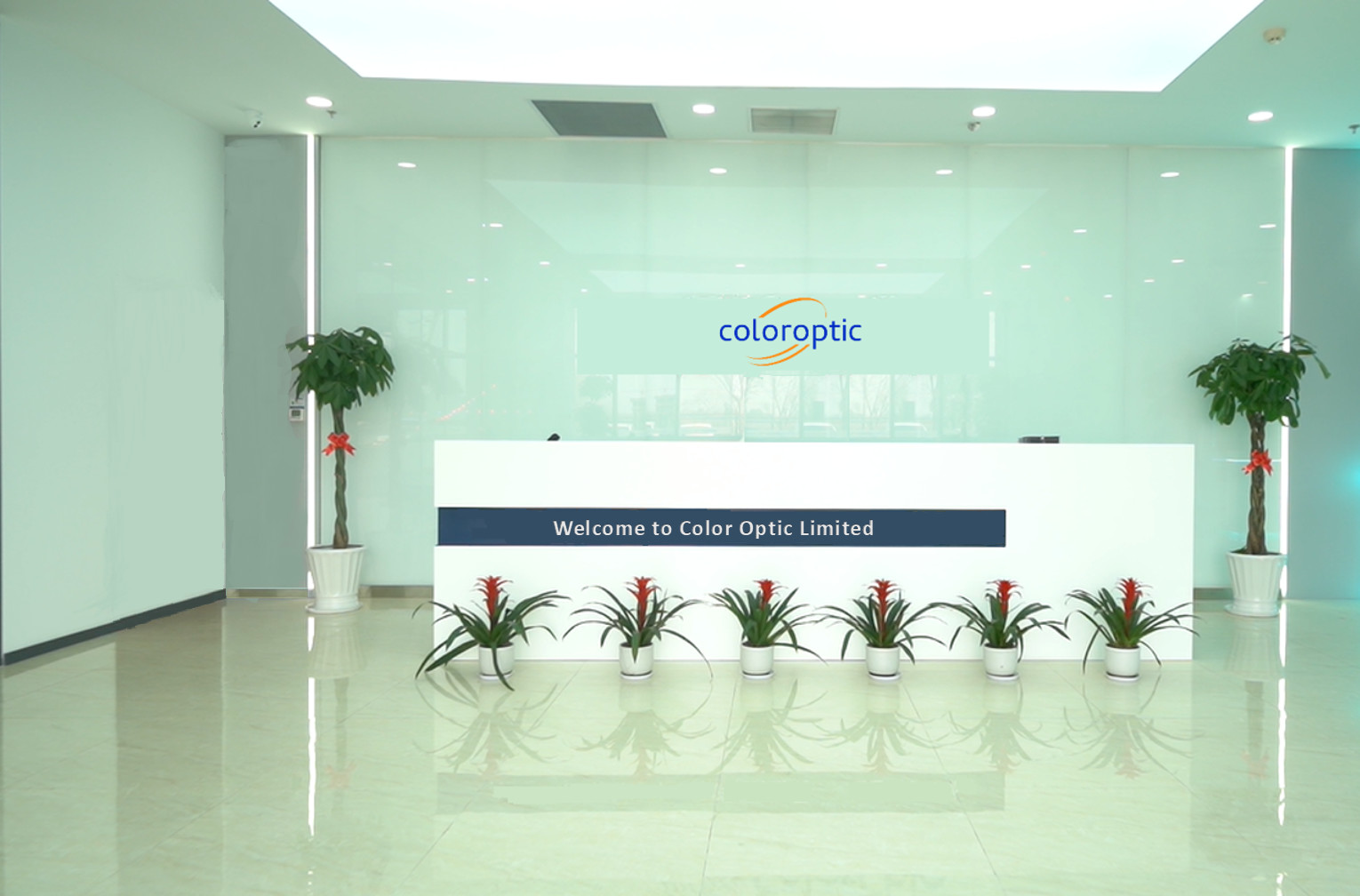 Κίνα Color Optic Limited Εταιρικό Προφίλ