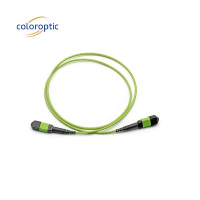 Μονότροπος MTP Patch Cord MTP Connector G652D / G657A1 / G657A2 ίνες