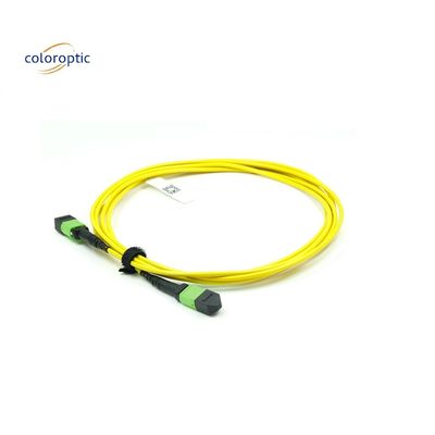 OM3 MPO Patch Cord 12 Core Aqua Fiber Optic Connector για αποτελεσματική δικτύωση