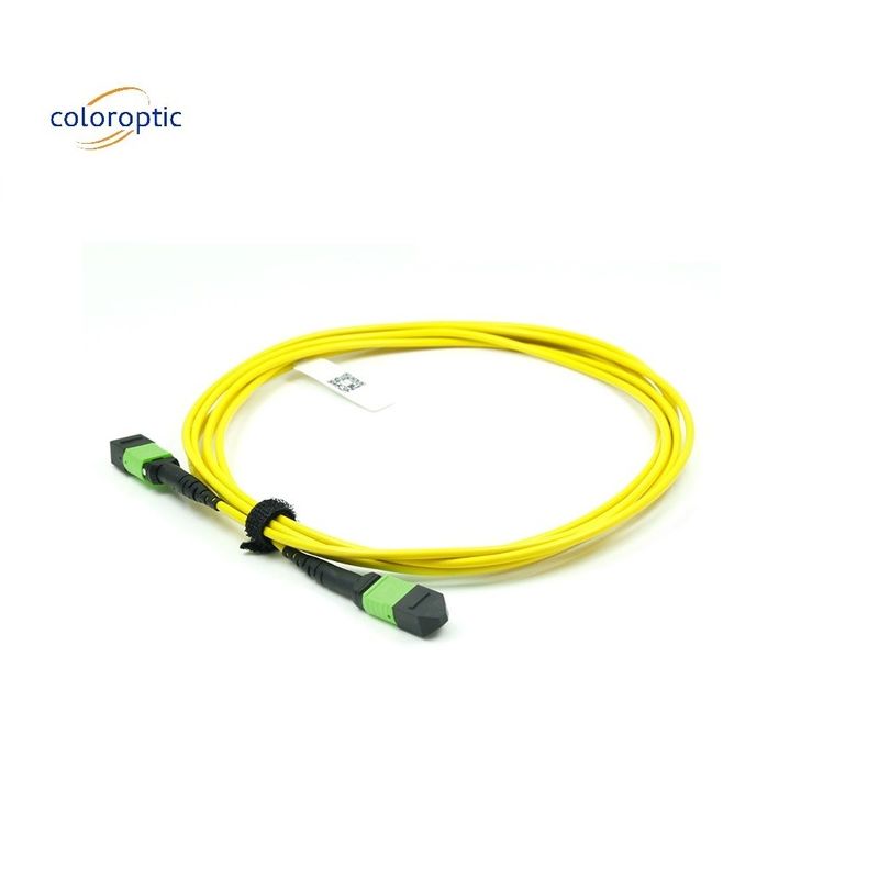 OM3 MPO Patch Cord 12 Core Aqua Fiber Optic Connector για αποτελεσματική δικτύωση
