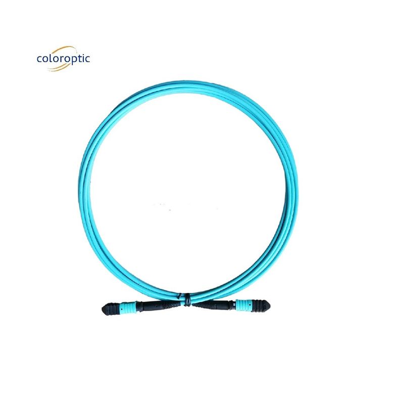 Φυτικά ίνματα G652D MPO Patch Cord με Aqua Jacket PC Connector Polishing