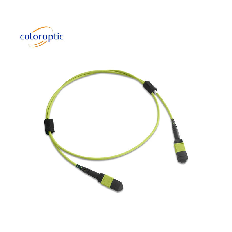 Πολλαπλές ίνες MPO Patch Cord PVC Jacket 12 Core OM5 Γυναικείο προς Γυναικείο Συνδετήρα PC Polishing